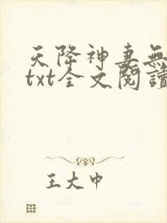天降神妻无删减txt全文阅读下载