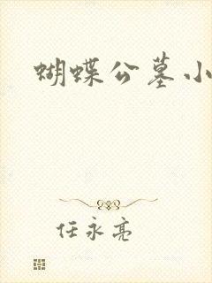 蝴蝶公墓小说