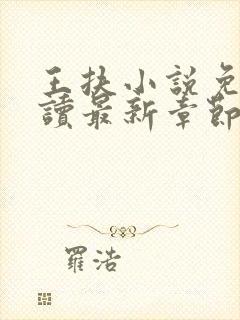 王扶小说免费阅读最新章节无弹窗