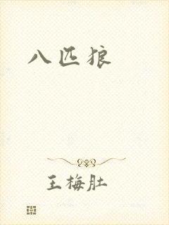 八匹狼
