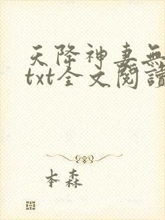 天降神妻无删减txt全文阅读下载
