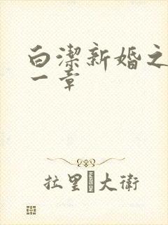 白洁新婚之夜第一章