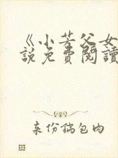 《小芳父女》小说免费阅读
