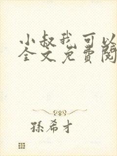 小叔我可以小说全文免费阅读封面