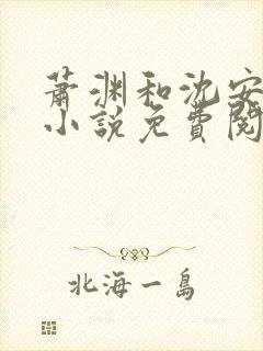 萧渊和沈安安的小说免费阅读