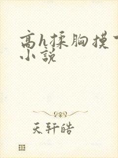 高h揉胸摸下的小说
