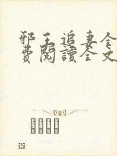 邪王追妻全文免费阅读全文