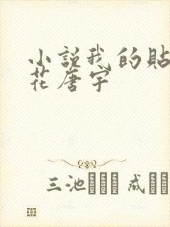 小说我的贴身校花唐宇封面