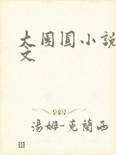 大团圆小说集全文