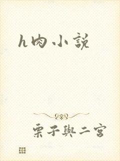 h肉小说