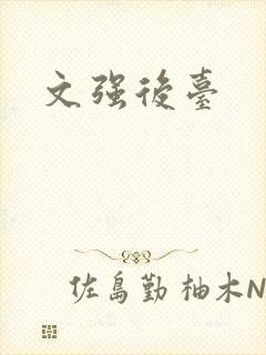 文强后台