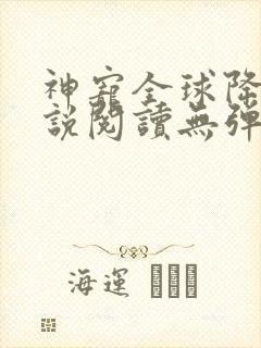 神宠全球降临小说阅读无弹窗