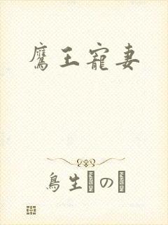 鹰王宠妻