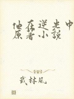 他在逆光中告白原著小说封面