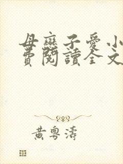 母恋子爱小说免费阅读全文封面