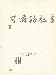 可怜的社畜txt