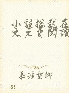 小说总裁在上全文免费阅读封面