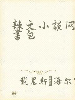 辣文小说网第二书包