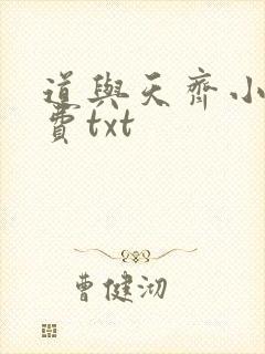 道与天齐小说免费txt封面