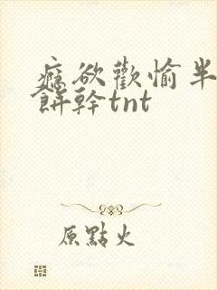 瘾欲欢愉半块小饼干tnt