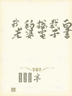 我的总裁白富美老婆电子书完整版