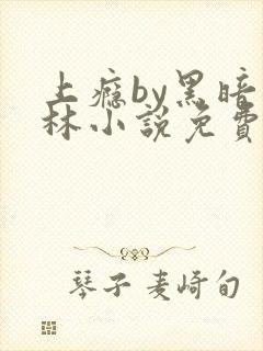 上瘾by黑暗森林小说免费