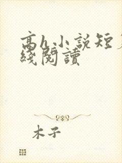 高h小说短篇在线阅读