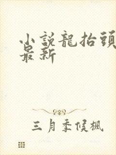 小说龙抬头张龙最新封面