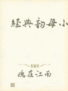 经典韵母小说
