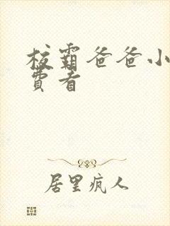 校霸爸爸小说免费看