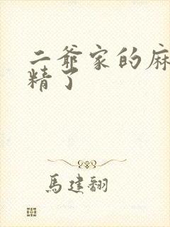 二爷家的麻雀成精了封面
