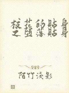 校花的贴身高手之堕落贴身校花小说