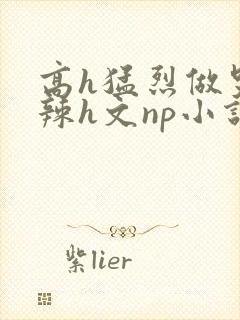高h猛烈做哭高辣h文np小说