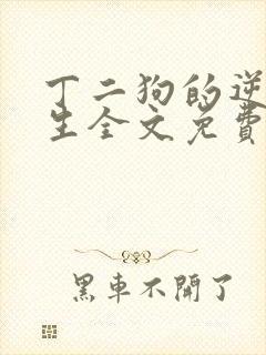 丁二狗的逆袭人生全文免费阅读