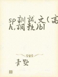 sp训诫文(高h,调教)bl