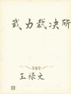 武力裁决所