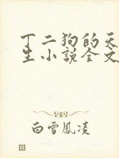 丁二狗的天梯人生小说全文免费阅读