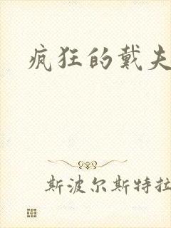 疯狂的戴夫封面
