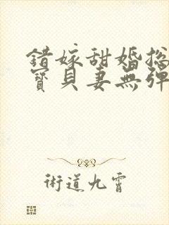 错嫁甜婚总裁的宝贝妻无弹窗