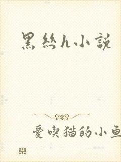 黑丝h小说