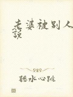 老婆被别人操小说