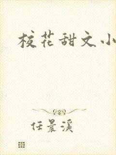校花甜文小说