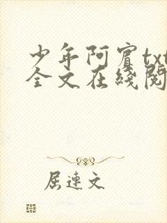 少年阿宾txt全文在线阅读