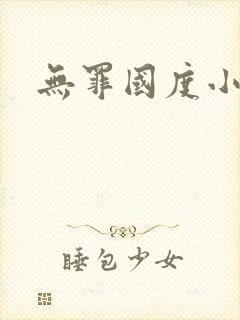 无罪国度小说封面
