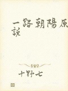 一路朝阳原著小说