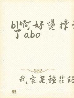 bl啊好烫撑满了abo