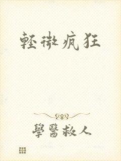 轻微疯狂封面