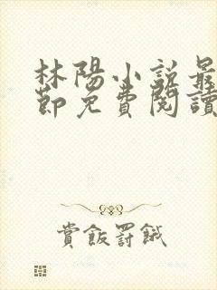 林阳小说最新章节免费阅读全文
