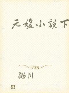 元媛小说下载