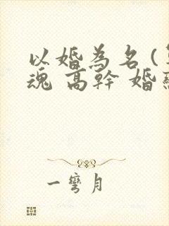 以婚为名 (军魂 高干 婚恋)